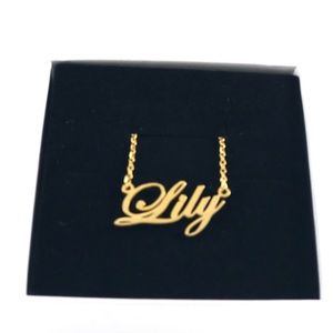 14K Gold Plated Name Necklace - Lily